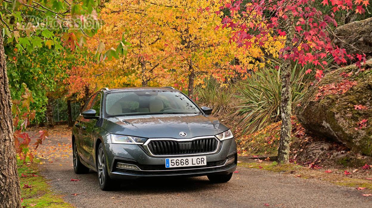 Fotogalería del nuevo Skoda Octavia Combi 2.0 TDi 2020