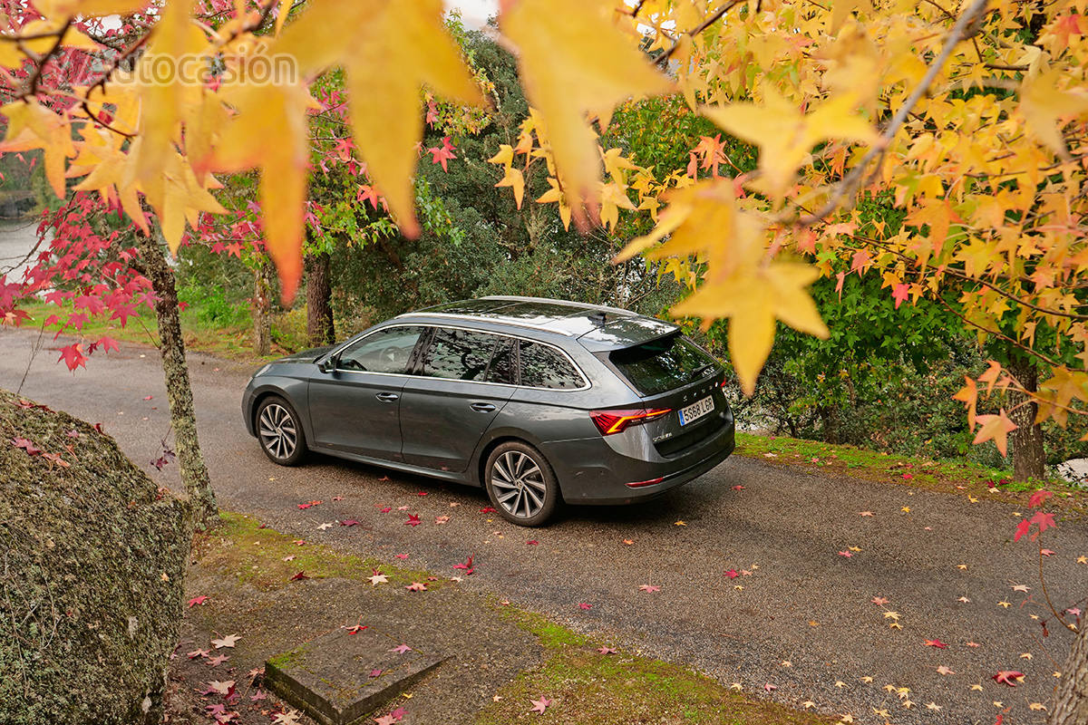 Fotogalería del nuevo Skoda Octavia Combi 2.0 TDi 2020