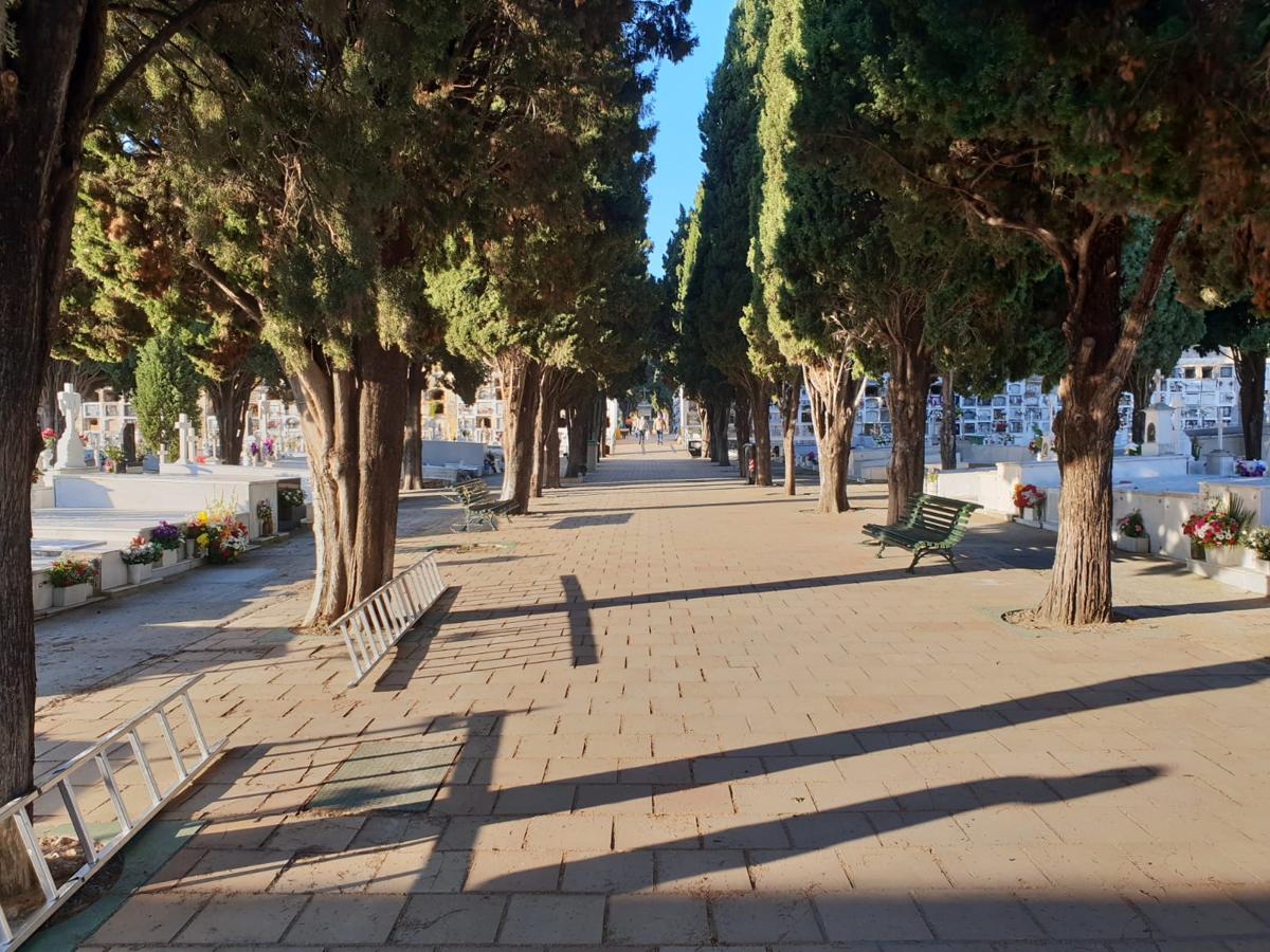 FOTOS: Tosantos, el recuerdo de los seres queridos en los cementerios de Cádiz