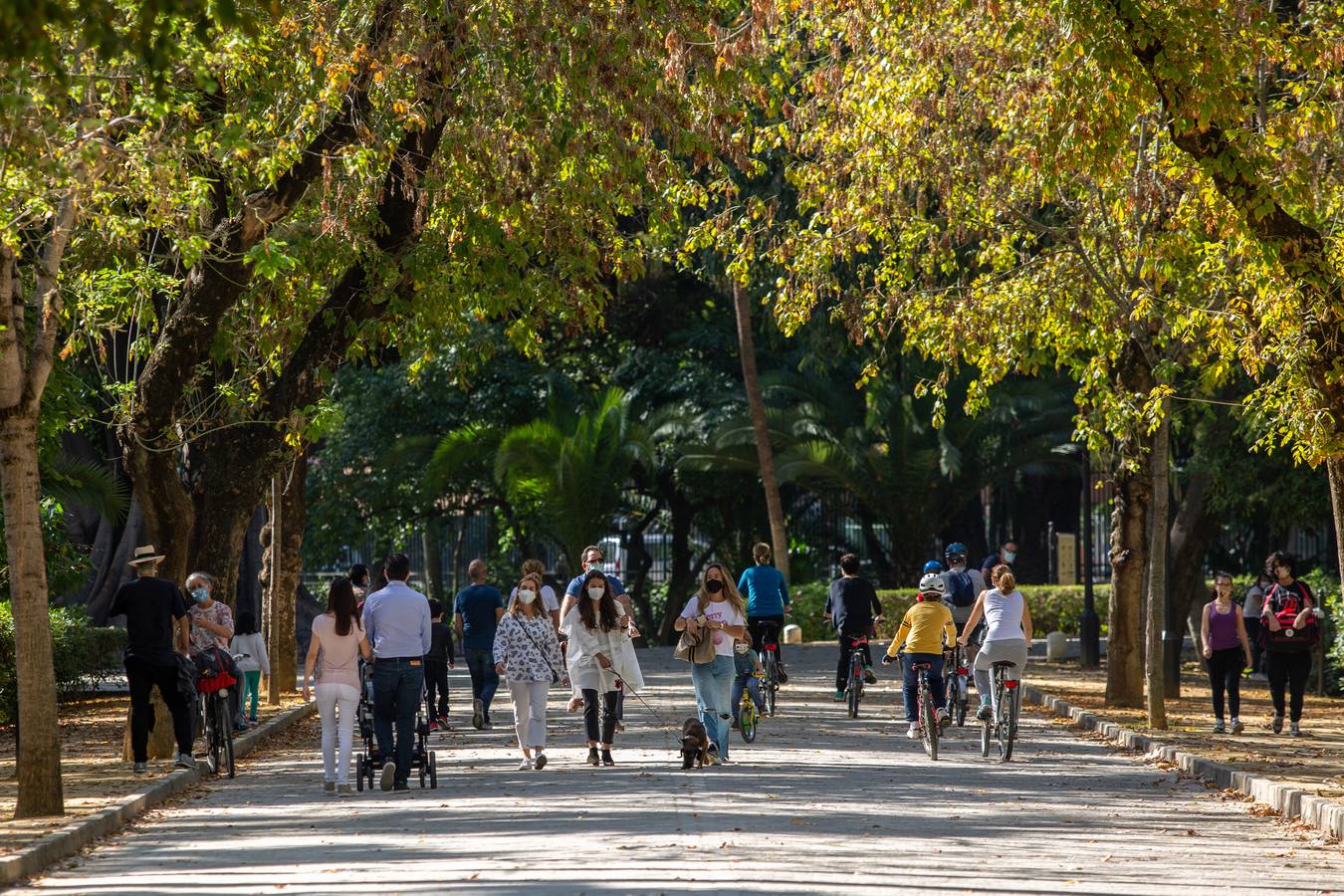 Los parques de Sevilla, un remanso de paz para las familias