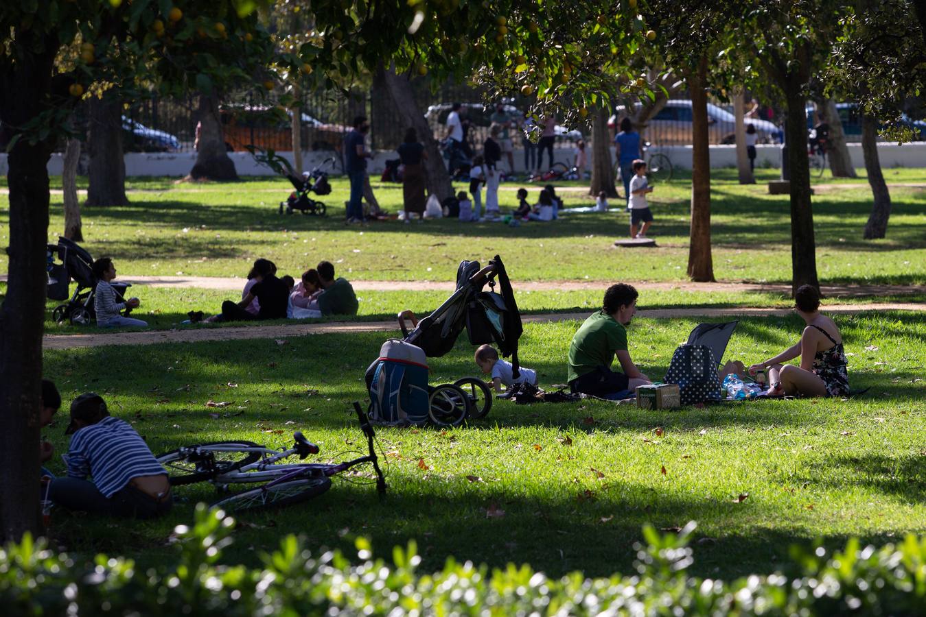 Los parques de Sevilla, un remanso de paz para las familias