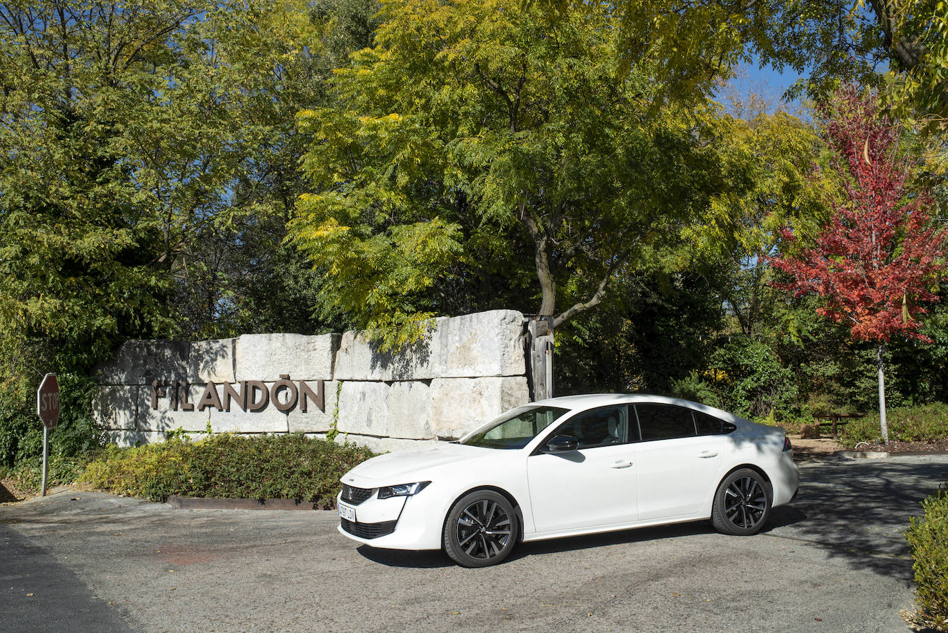 Fotogalería: Peugeot 508 HYbrid