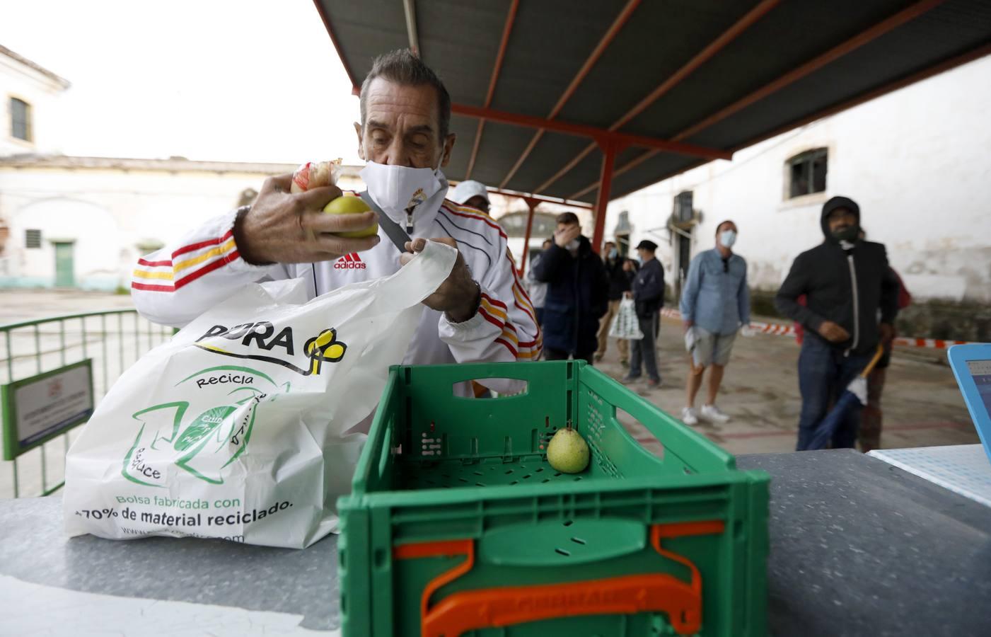 La labor de las ONGs de Córdoba en la pandemia, en imágenes