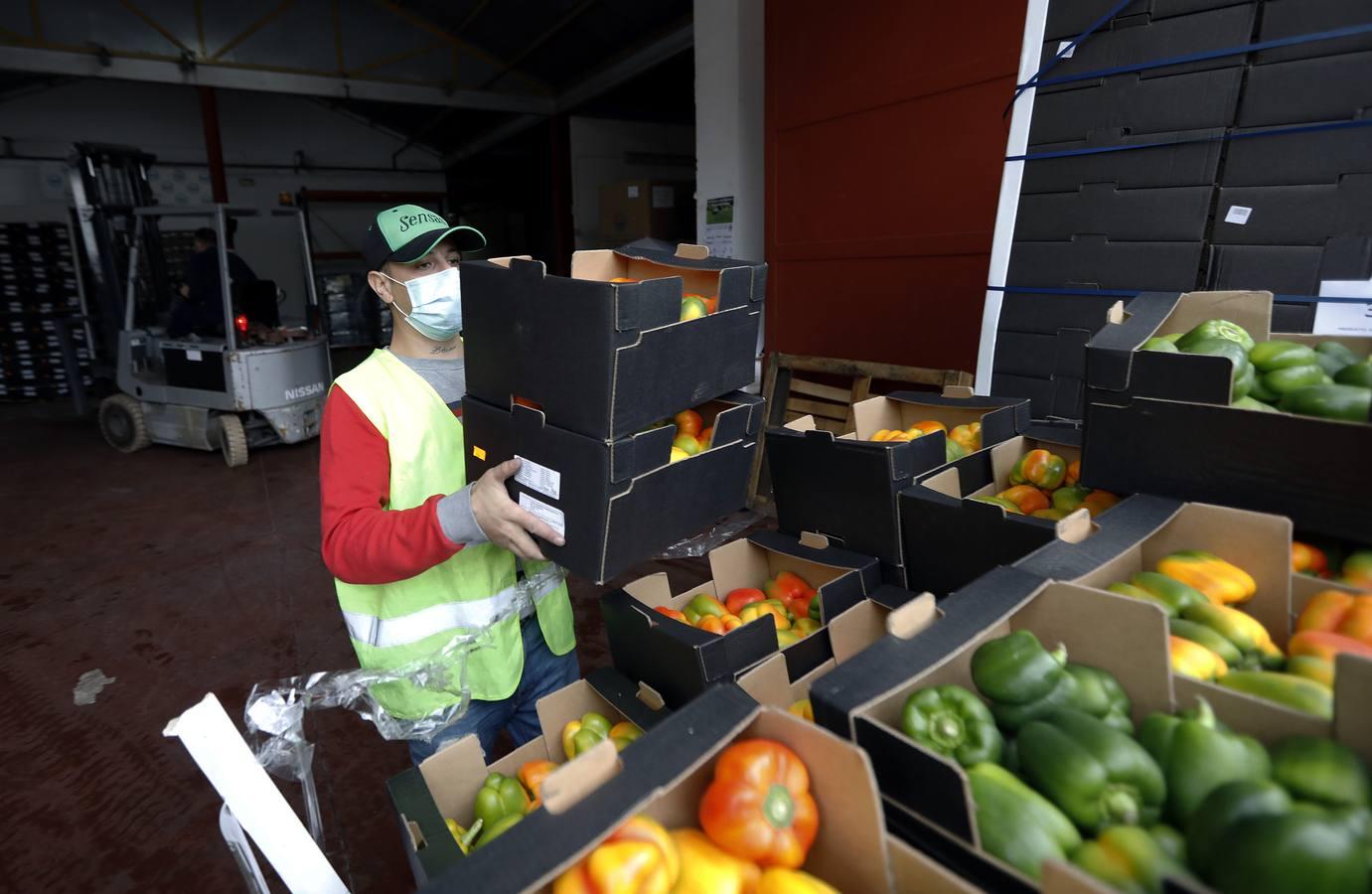 La labor de las ONGs de Córdoba en la pandemia, en imágenes