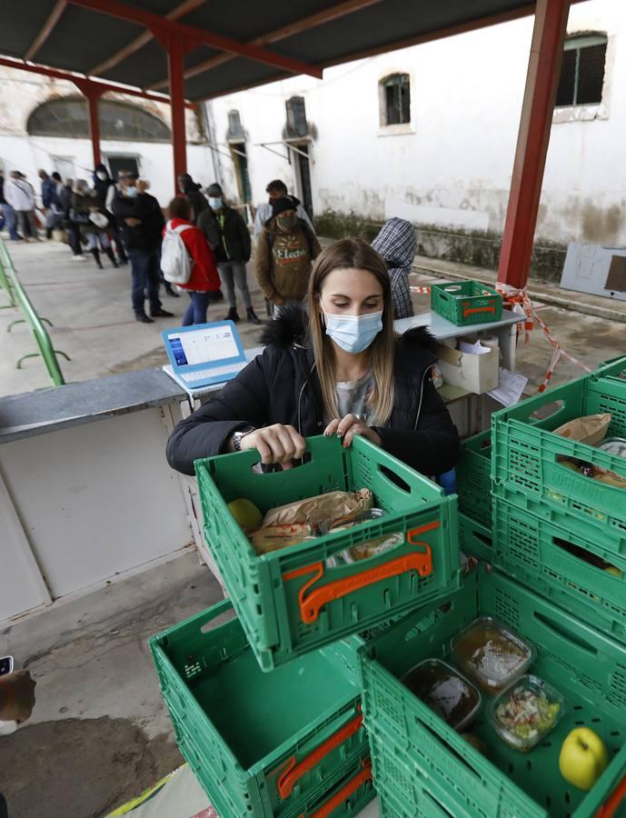 La labor de las ONGs de Córdoba en la pandemia, en imágenes