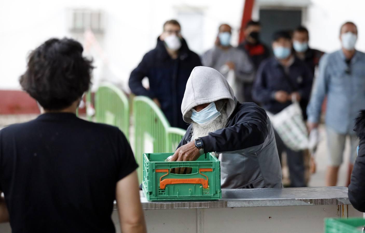 La labor de las ONGs de Córdoba en la pandemia, en imágenes