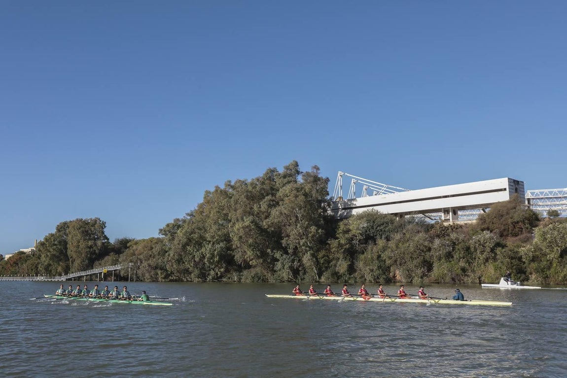 Victoria bética en la regata sevillana