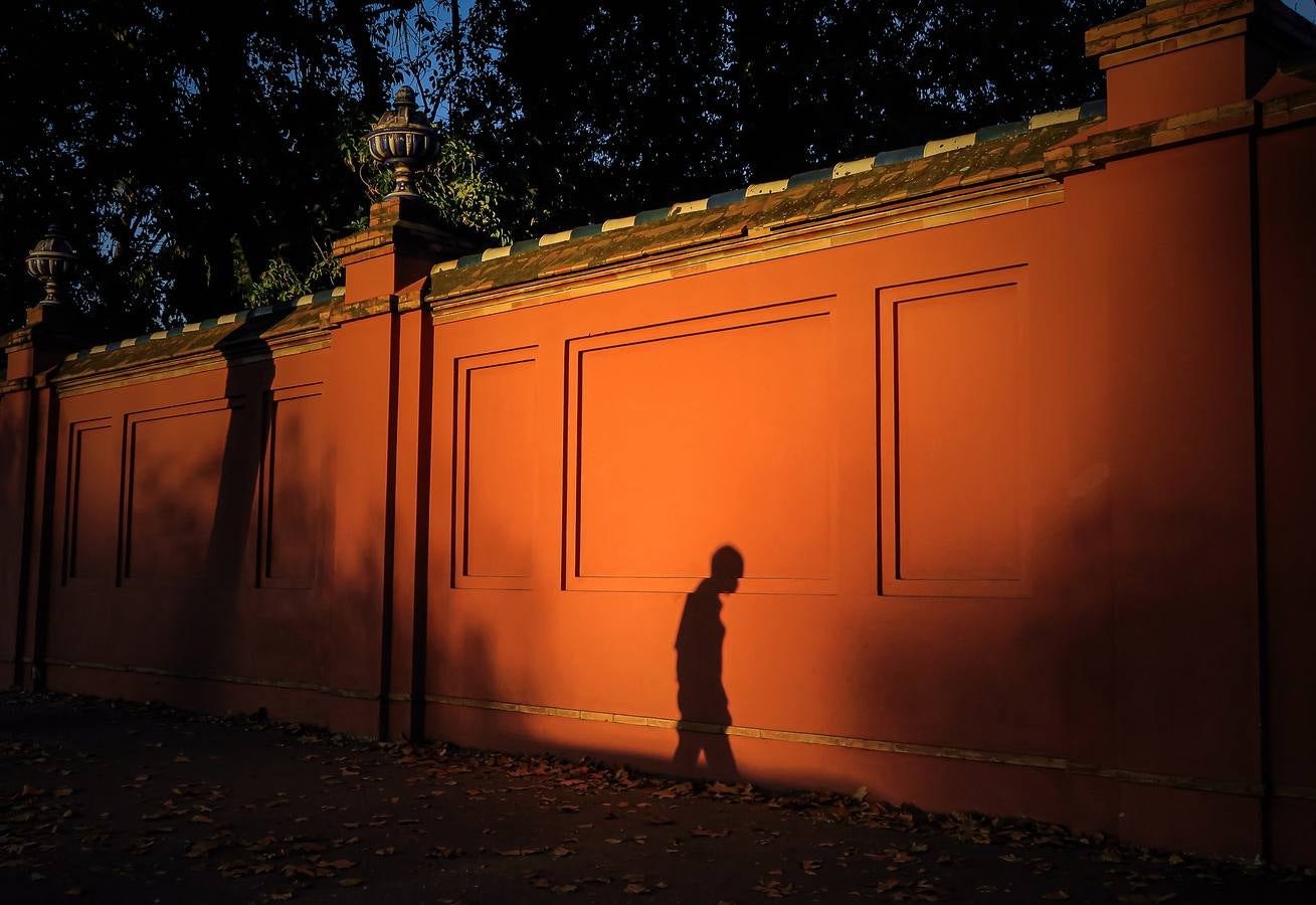 Los colores del otoño en Sevilla