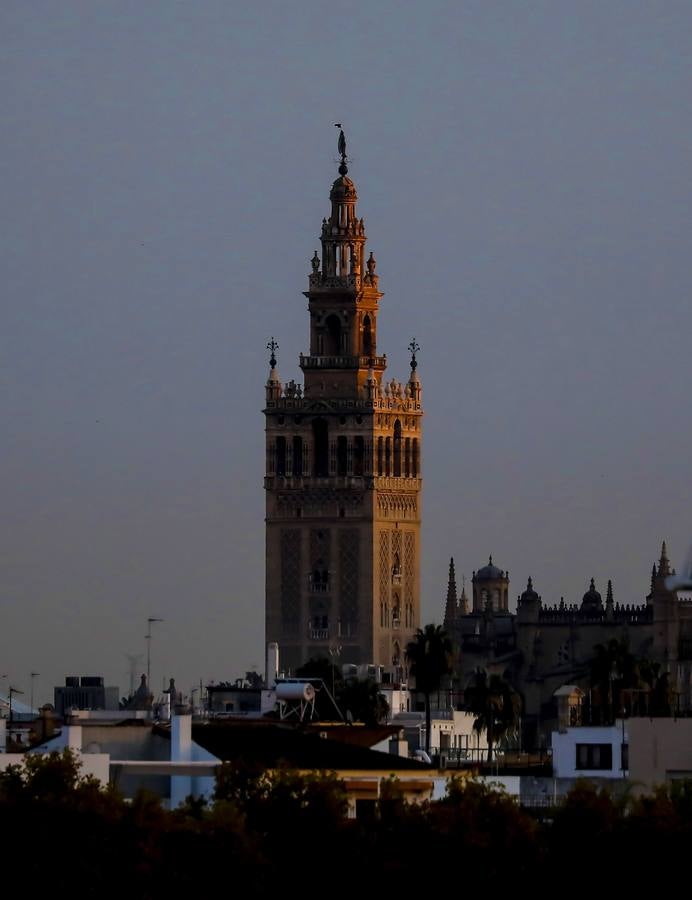 Los colores del otoño en Sevilla