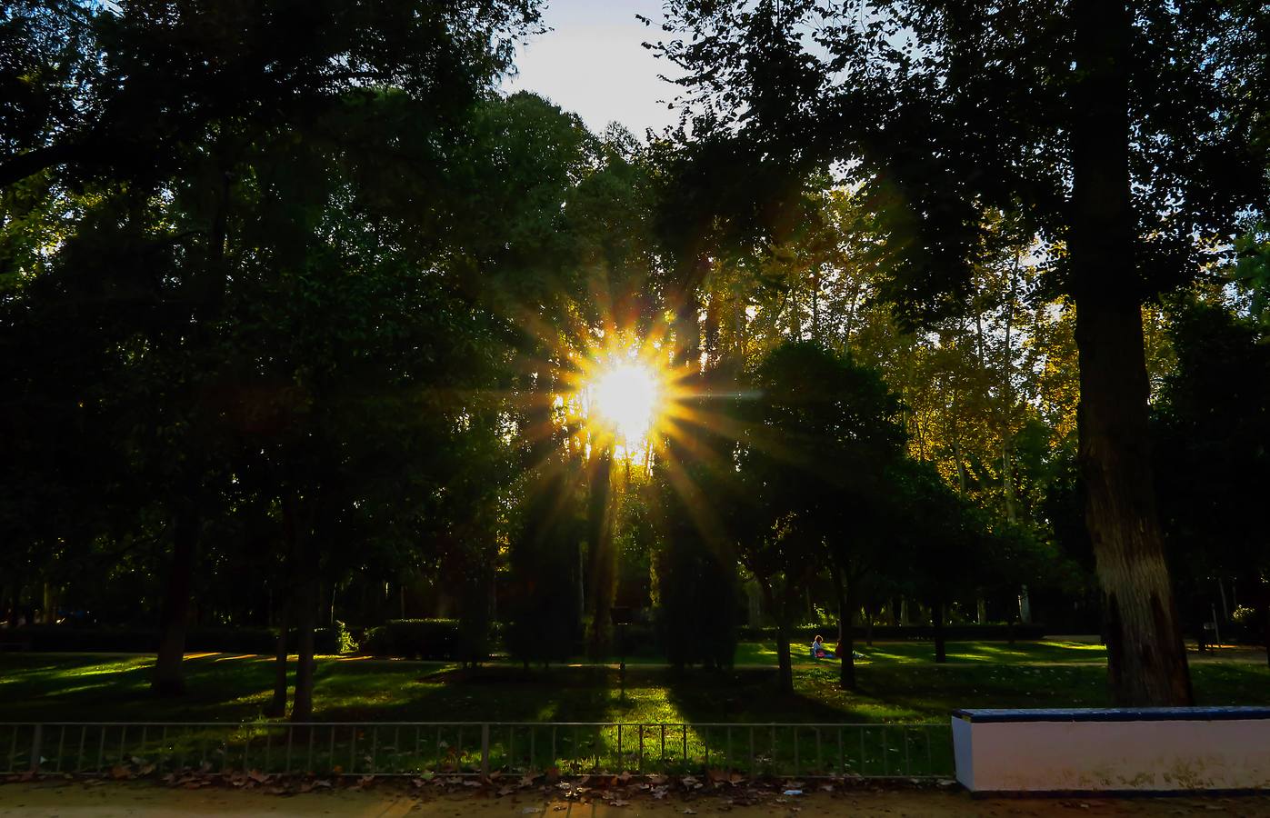 Los colores del otoño en Sevilla