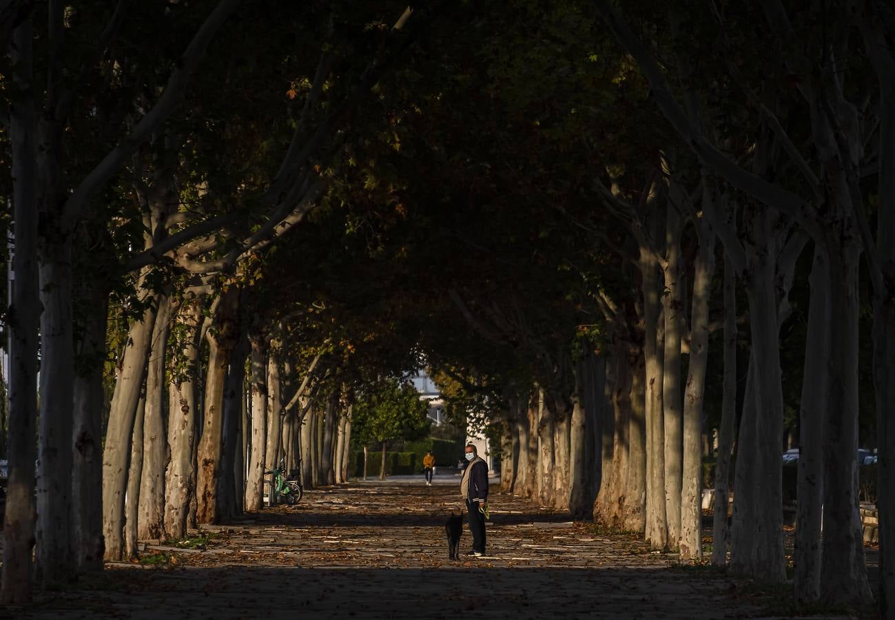 Los colores del otoño en Sevilla