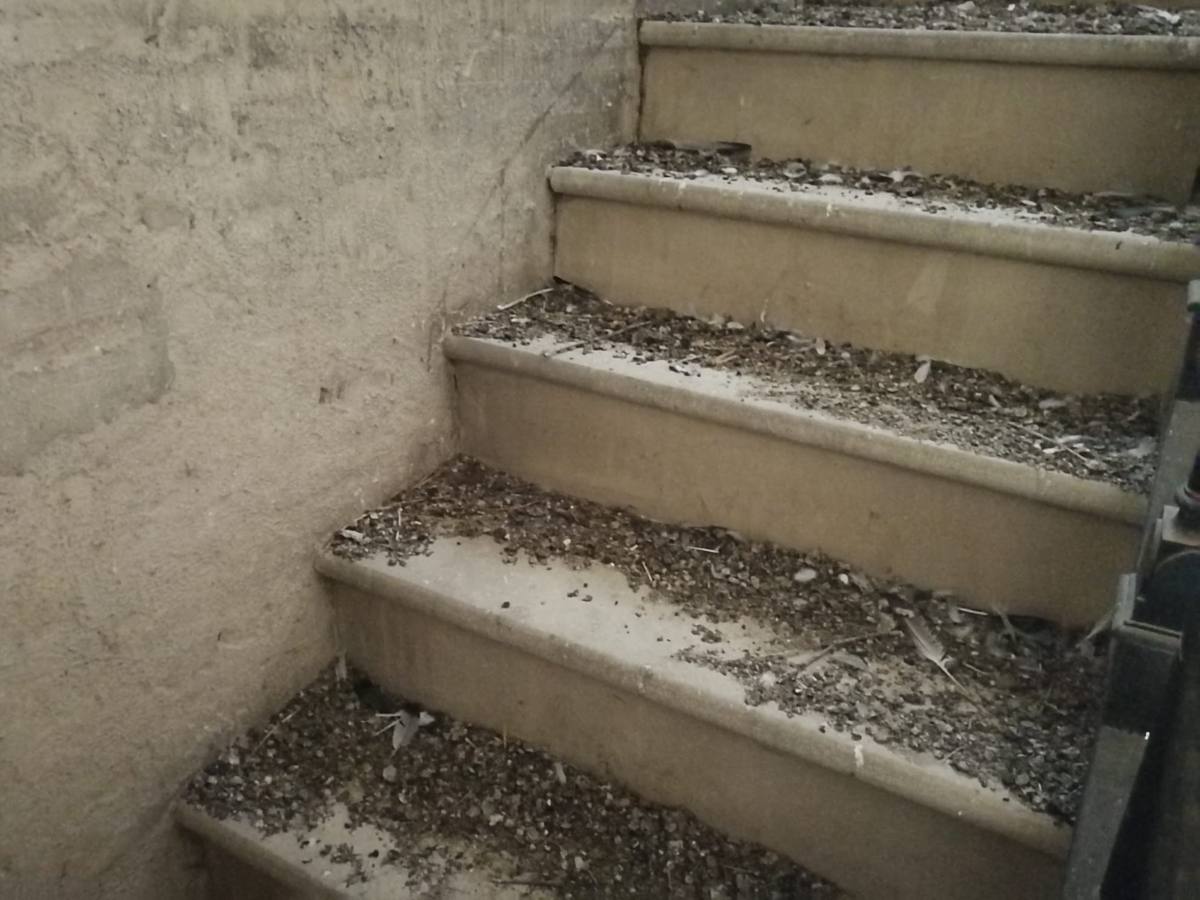 En imágenes, estado de abandono de la Torre de Don Fadrique