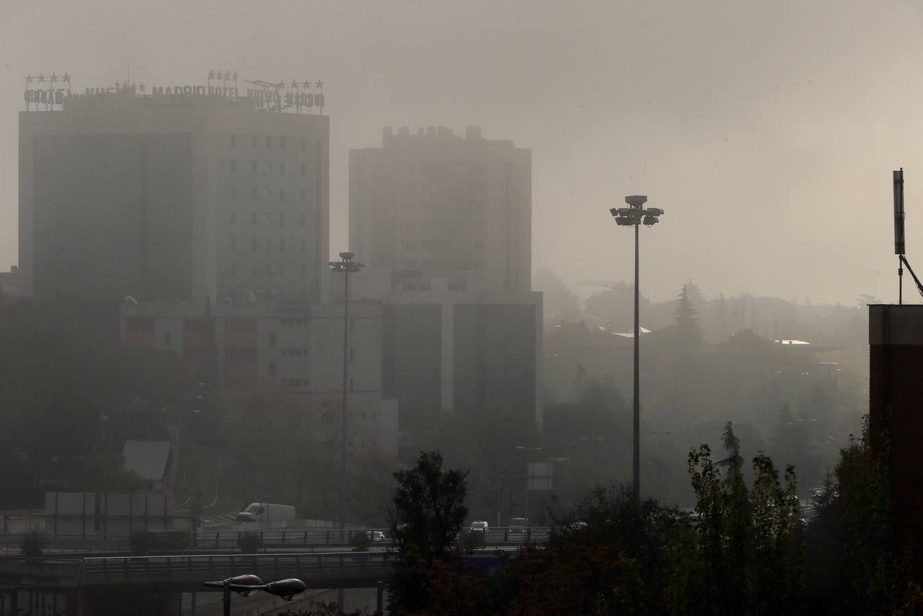 En imágenes, la niebla cubre por completo Sevilla