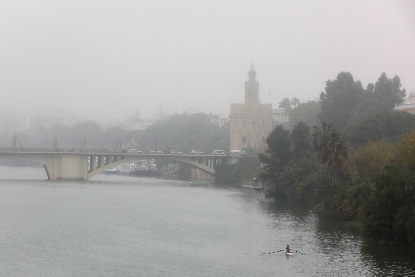 En imágenes, la niebla cubre por completo Sevilla