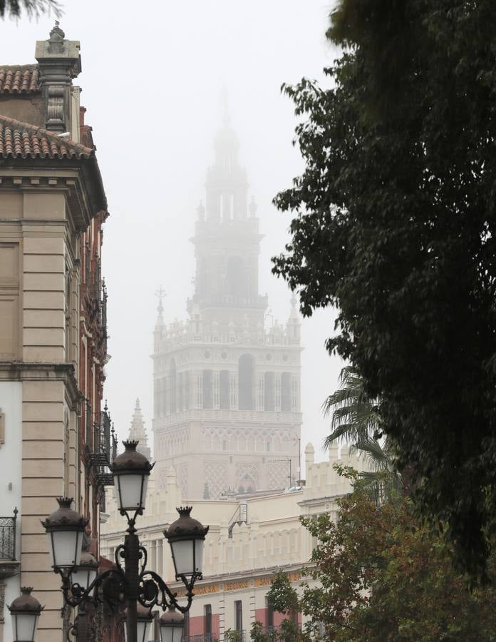 En imágenes, la niebla cubre por completo Sevilla