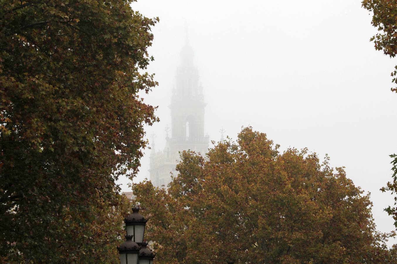 En imágenes, la niebla cubre por completo Sevilla