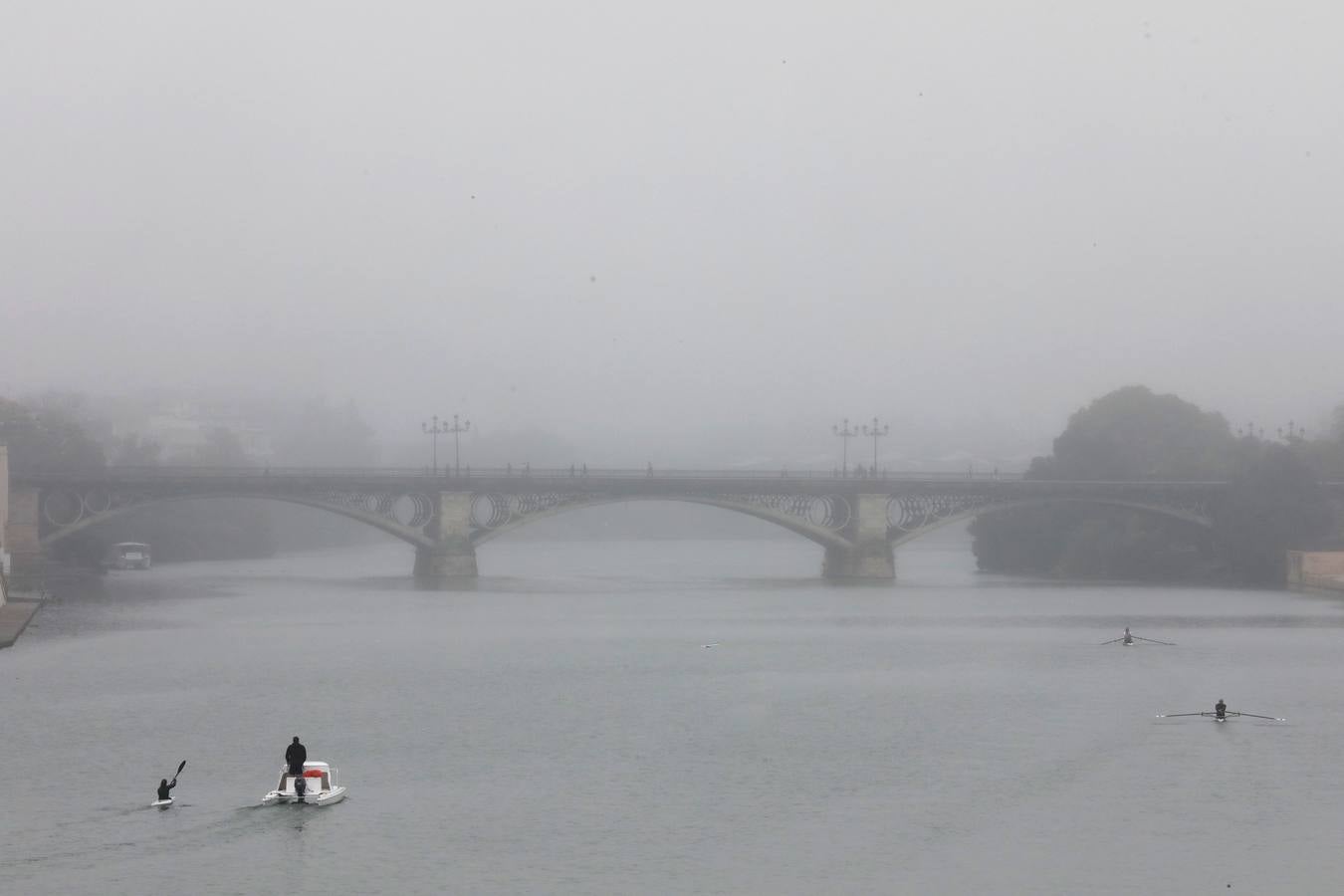 En imágenes, la niebla cubre por completo Sevilla