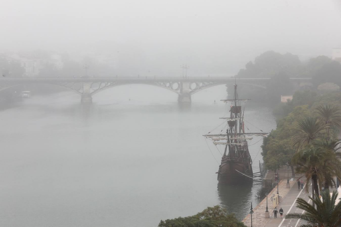 En imágenes, la niebla cubre por completo Sevilla