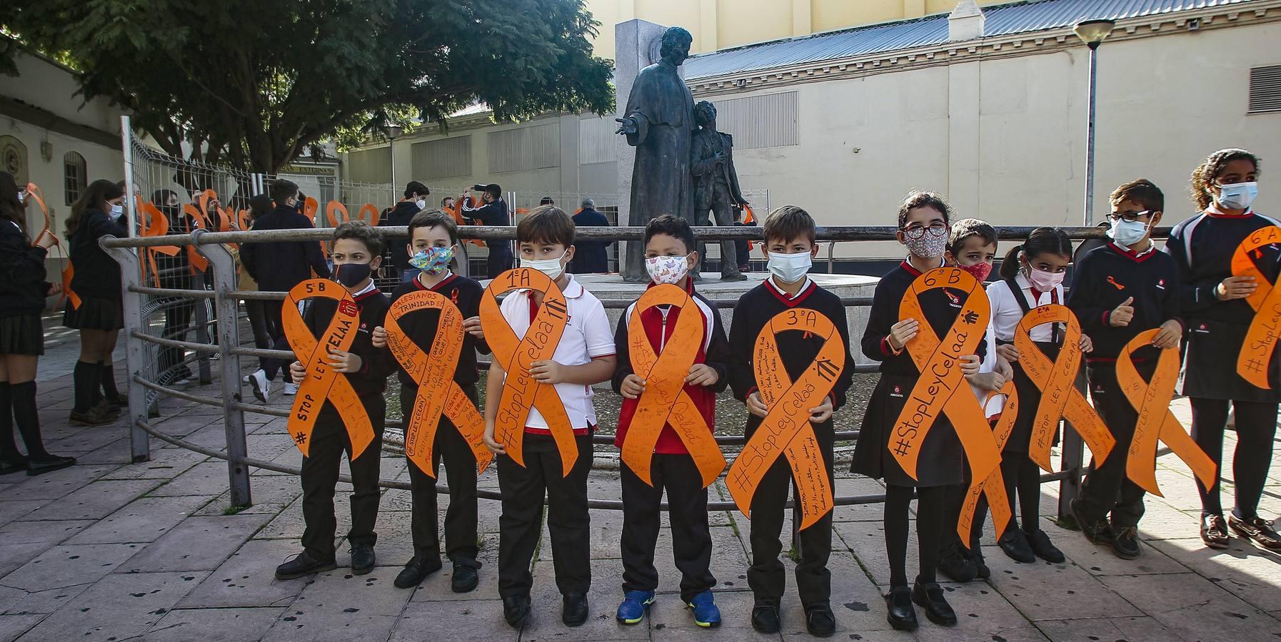 Fotogalería: La concertada de Sevilla se moviliza contra la «Ley Celaá»