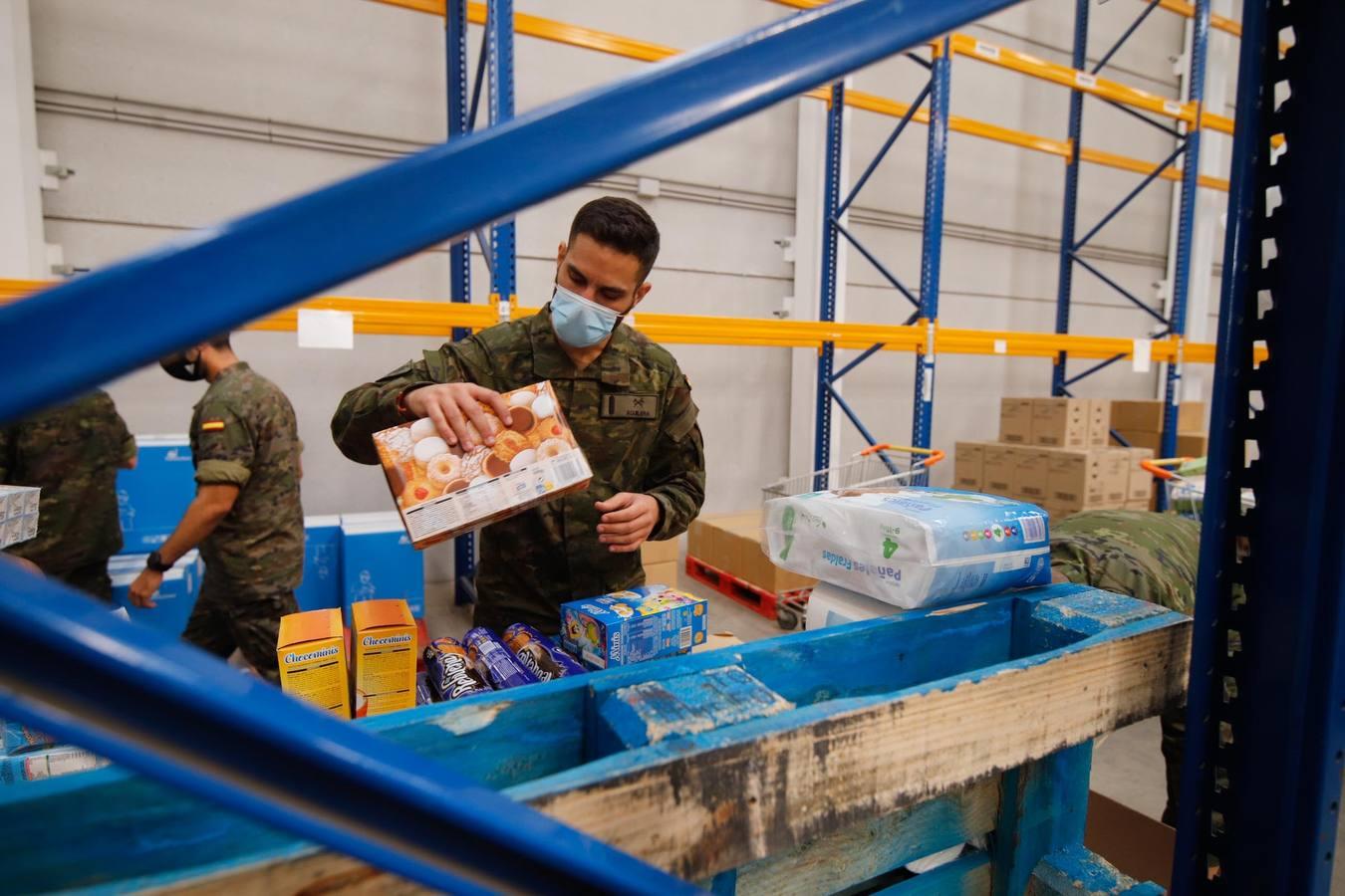 La misión más solidaria del Ejército en el Banco de Alimentos de Córdoba, en imágenes