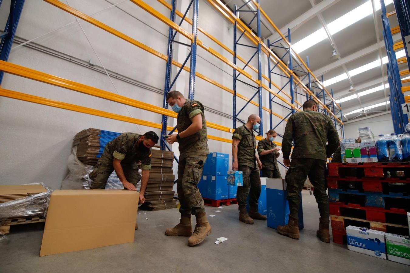 La misión más solidaria del Ejército en el Banco de Alimentos de Córdoba, en imágenes