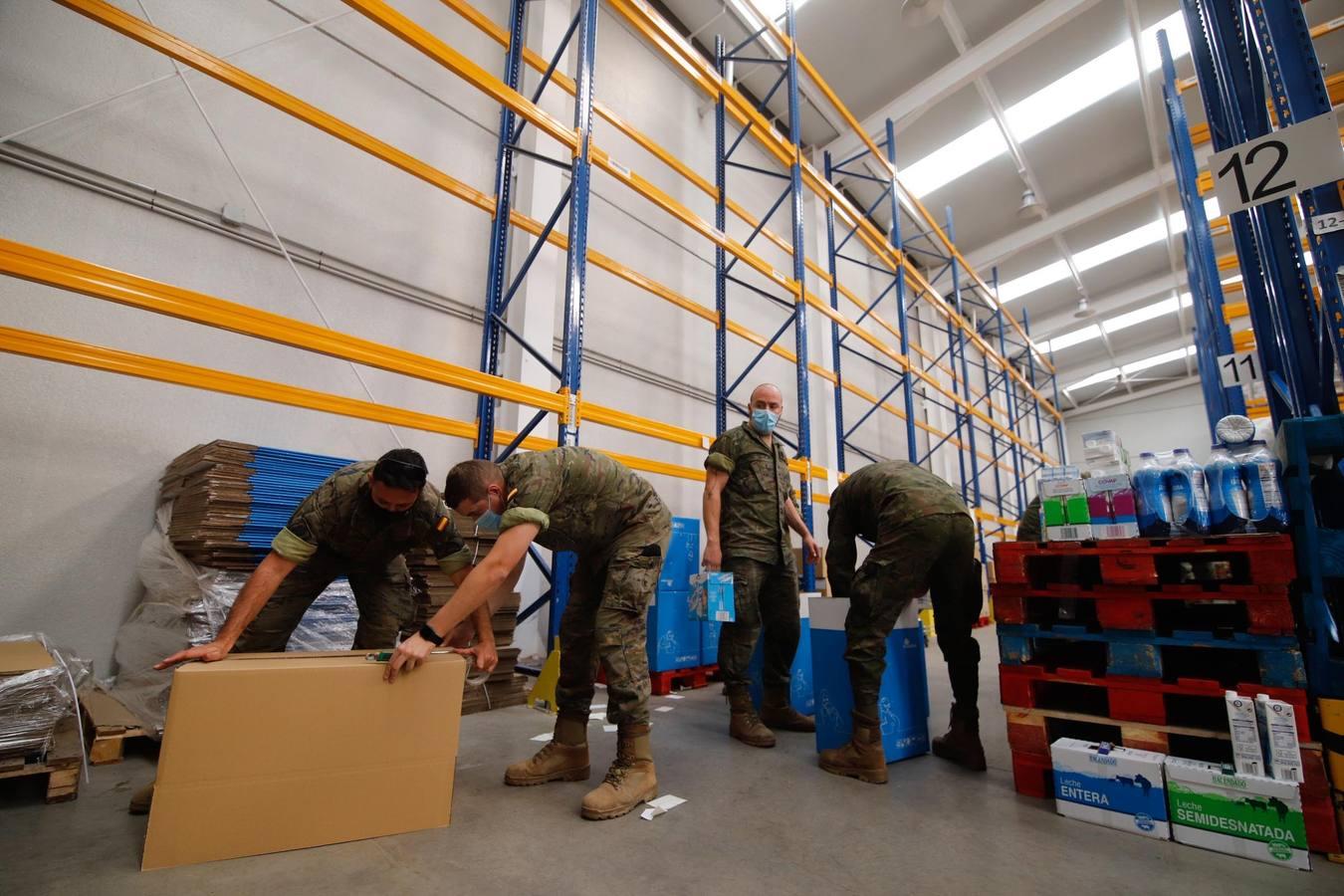 La misión más solidaria del Ejército en el Banco de Alimentos de Córdoba, en imágenes