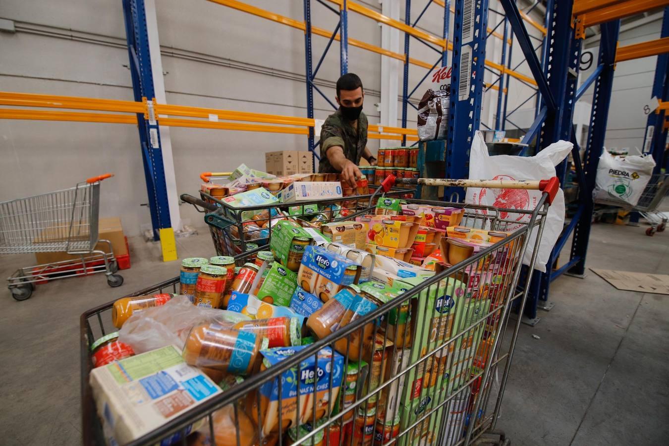 La misión más solidaria del Ejército en el Banco de Alimentos de Córdoba, en imágenes