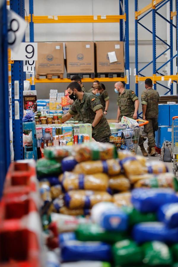 La misión más solidaria del Ejército en el Banco de Alimentos de Córdoba, en imágenes