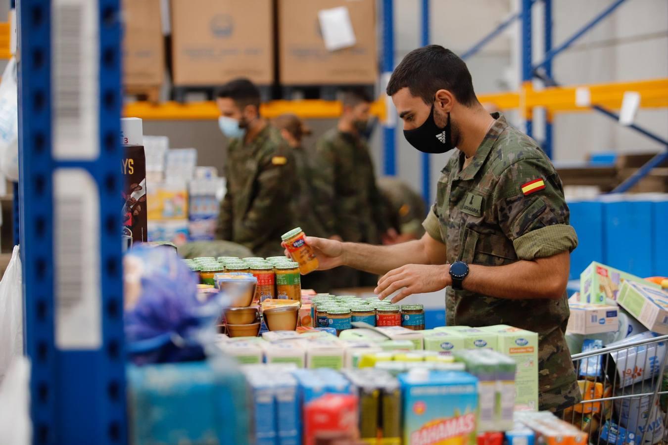 La misión más solidaria del Ejército en el Banco de Alimentos de Córdoba, en imágenes