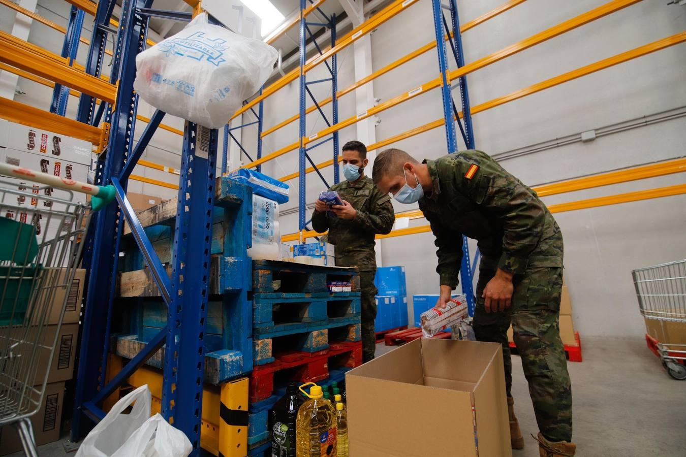 La misión más solidaria del Ejército en el Banco de Alimentos de Córdoba, en imágenes