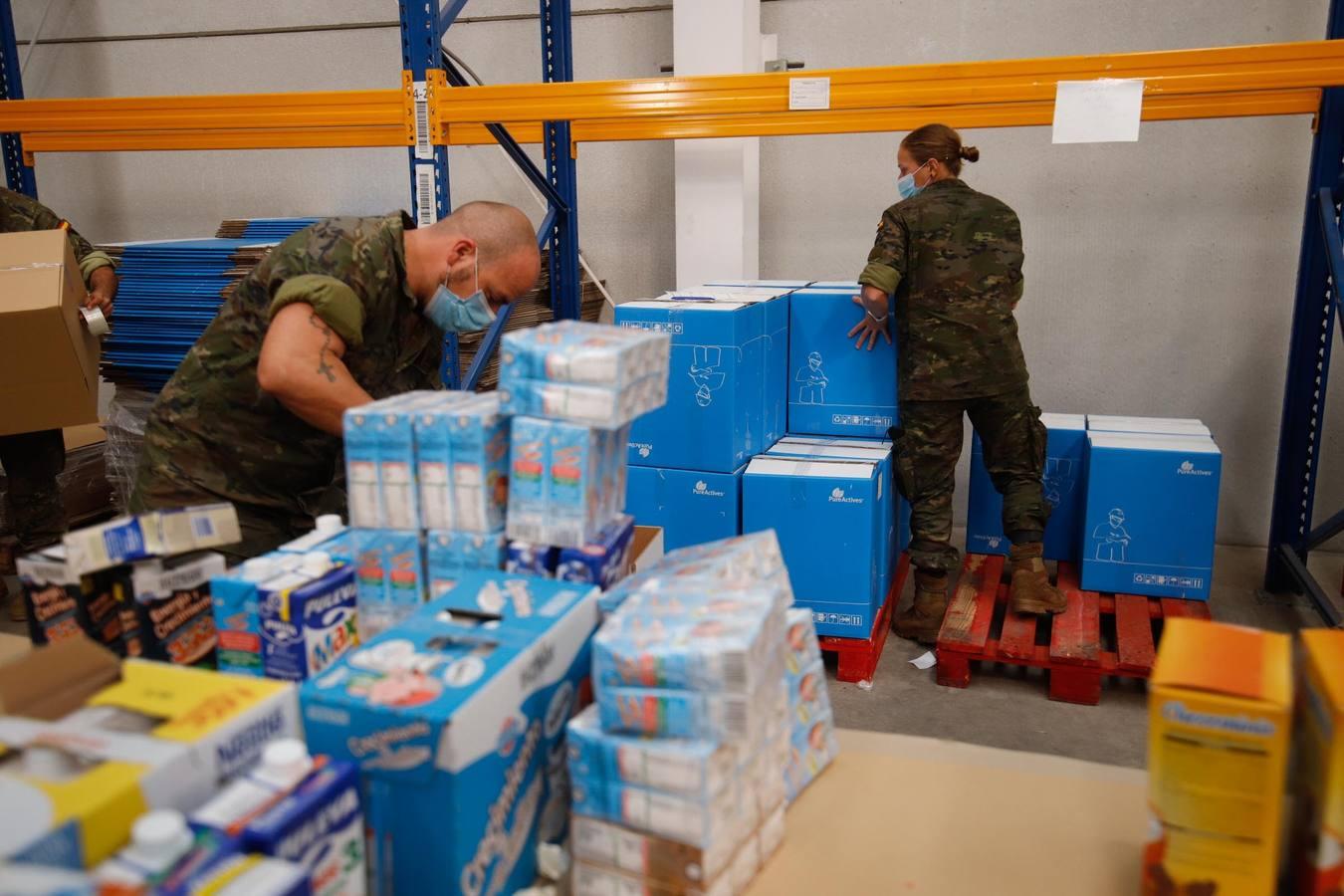 La misión más solidaria del Ejército en el Banco de Alimentos de Córdoba, en imágenes