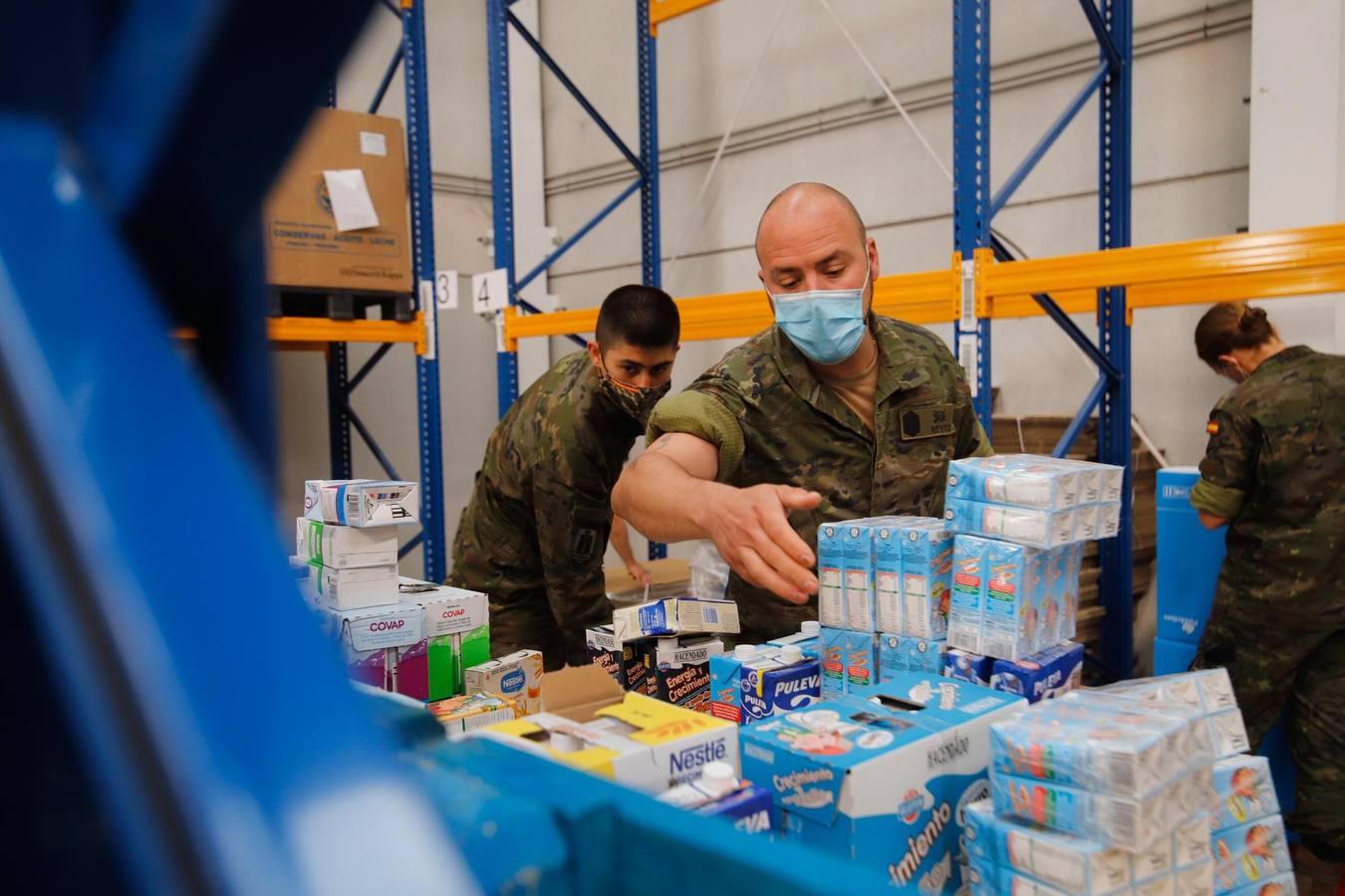 La misión más solidaria del Ejército en el Banco de Alimentos de Córdoba, en imágenes