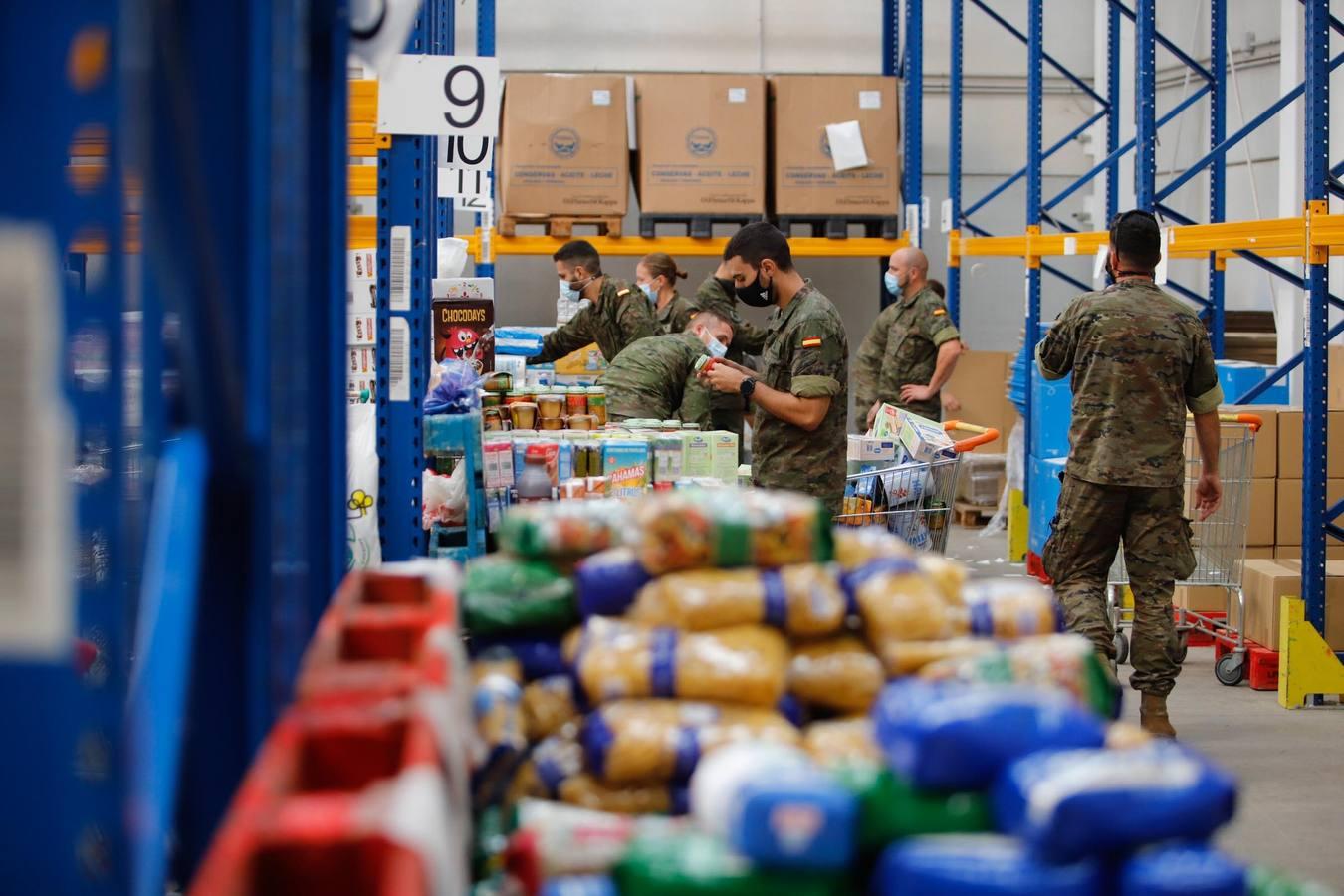 La misión más solidaria del Ejército en el Banco de Alimentos de Córdoba, en imágenes