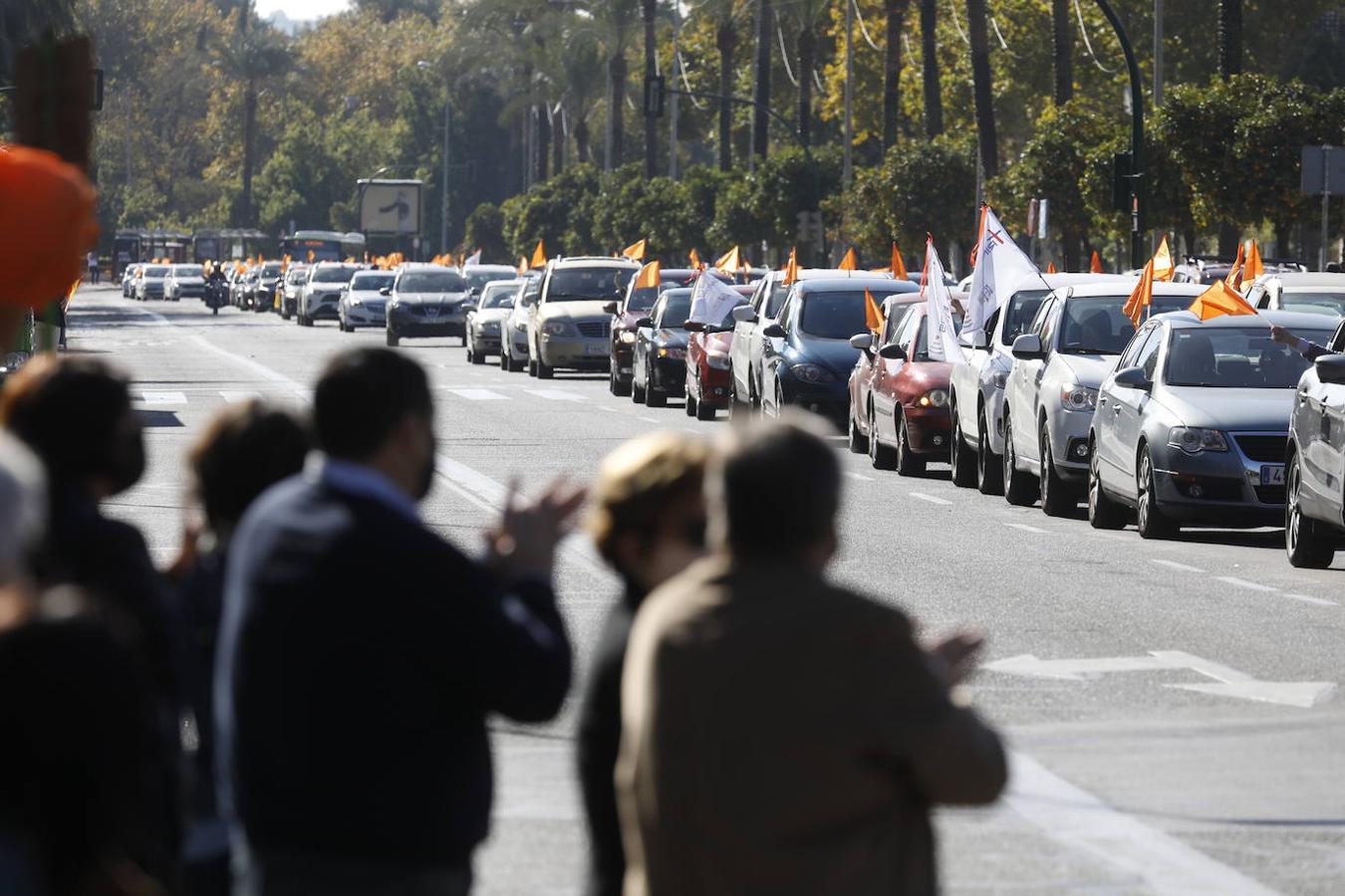 La protesta de la concertada contra la «Ley Celaá» en Córdoba, en imágenes