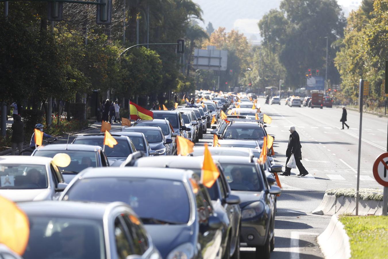 La protesta de la concertada contra la «Ley Celaá» en Córdoba, en imágenes