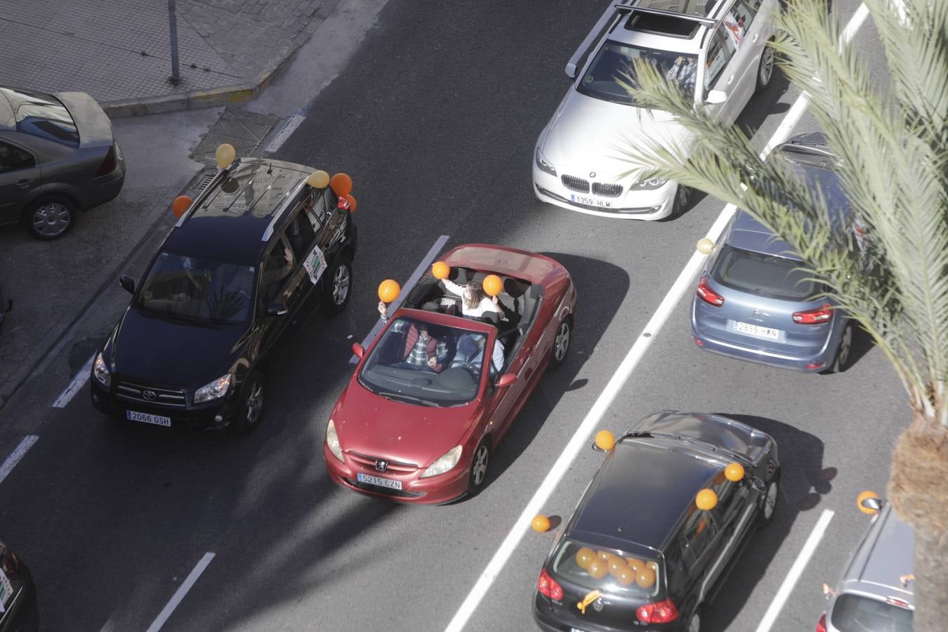 Caravana de vehículos en Cádiz contra «la ley Celaá»