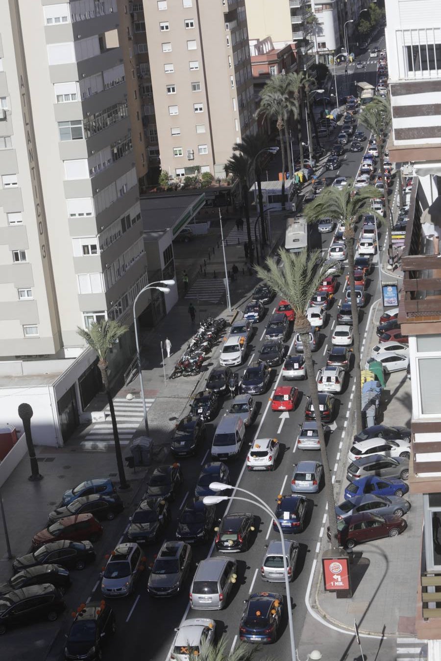 Caravana de vehículos en Cádiz contra «la ley Celaá»