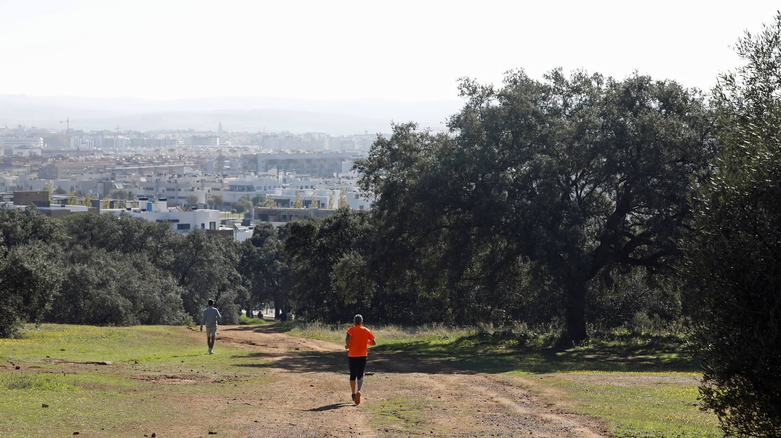 El esplendor del parque del Patriarca de Córdoba, en imágenes