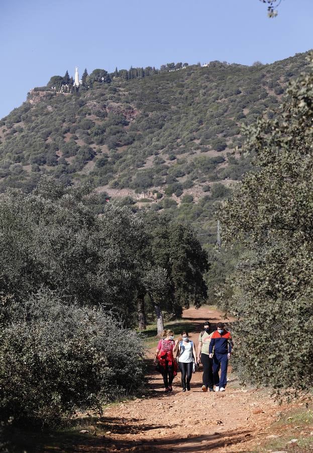 El esplendor del parque del Patriarca de Córdoba, en imágenes