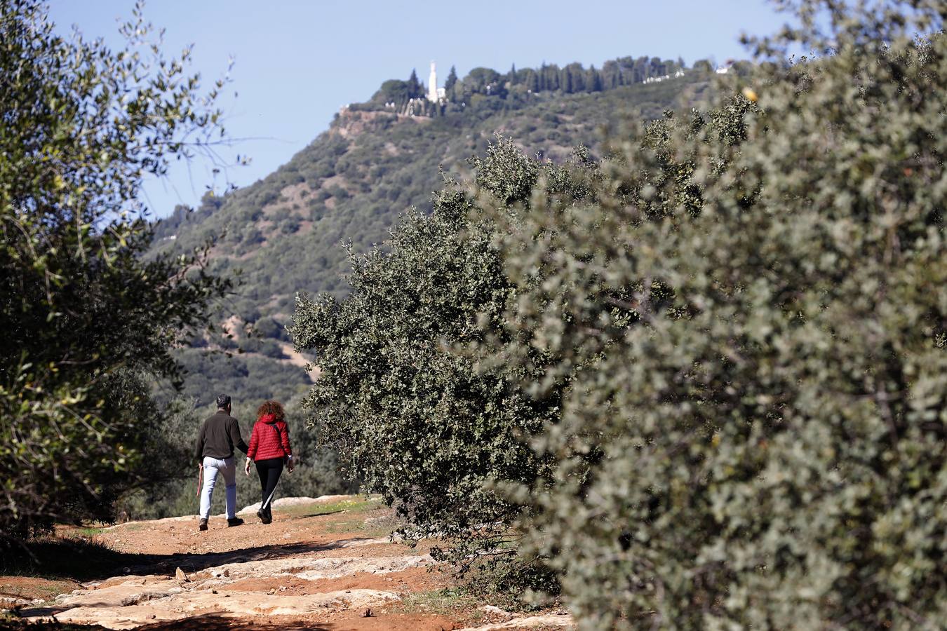 El esplendor del parque del Patriarca de Córdoba, en imágenes