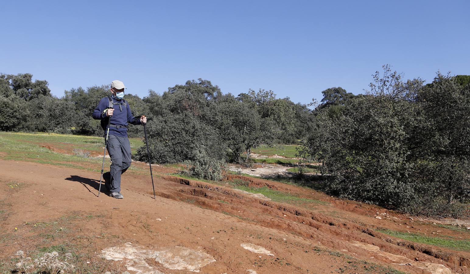 El esplendor del parque del Patriarca de Córdoba, en imágenes