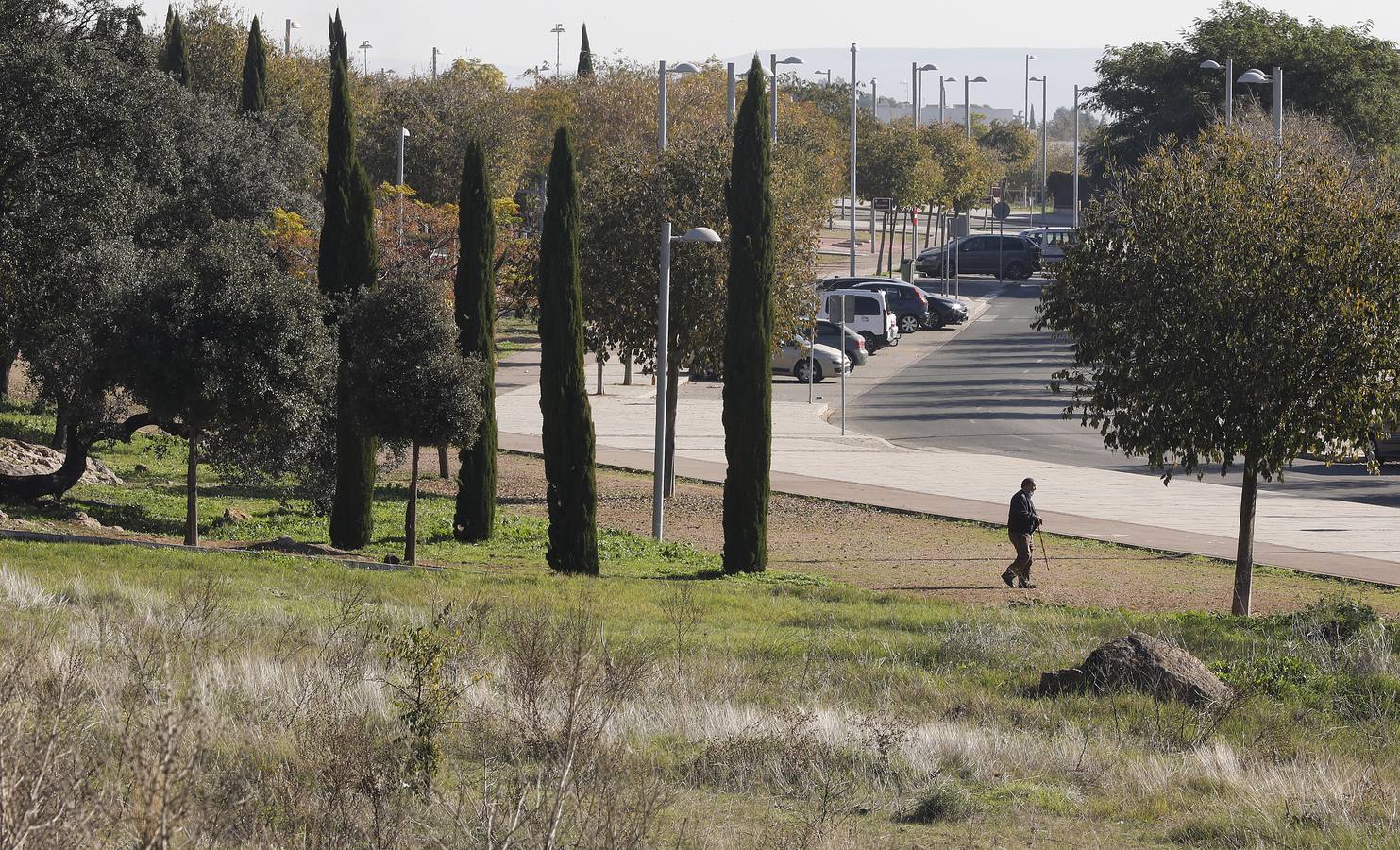 El esplendor del parque del Patriarca de Córdoba, en imágenes