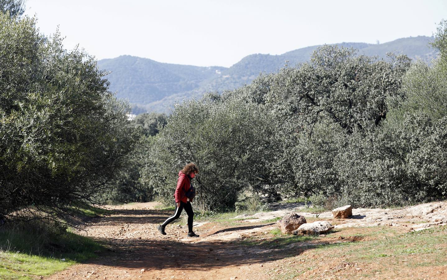 El esplendor del parque del Patriarca de Córdoba, en imágenes