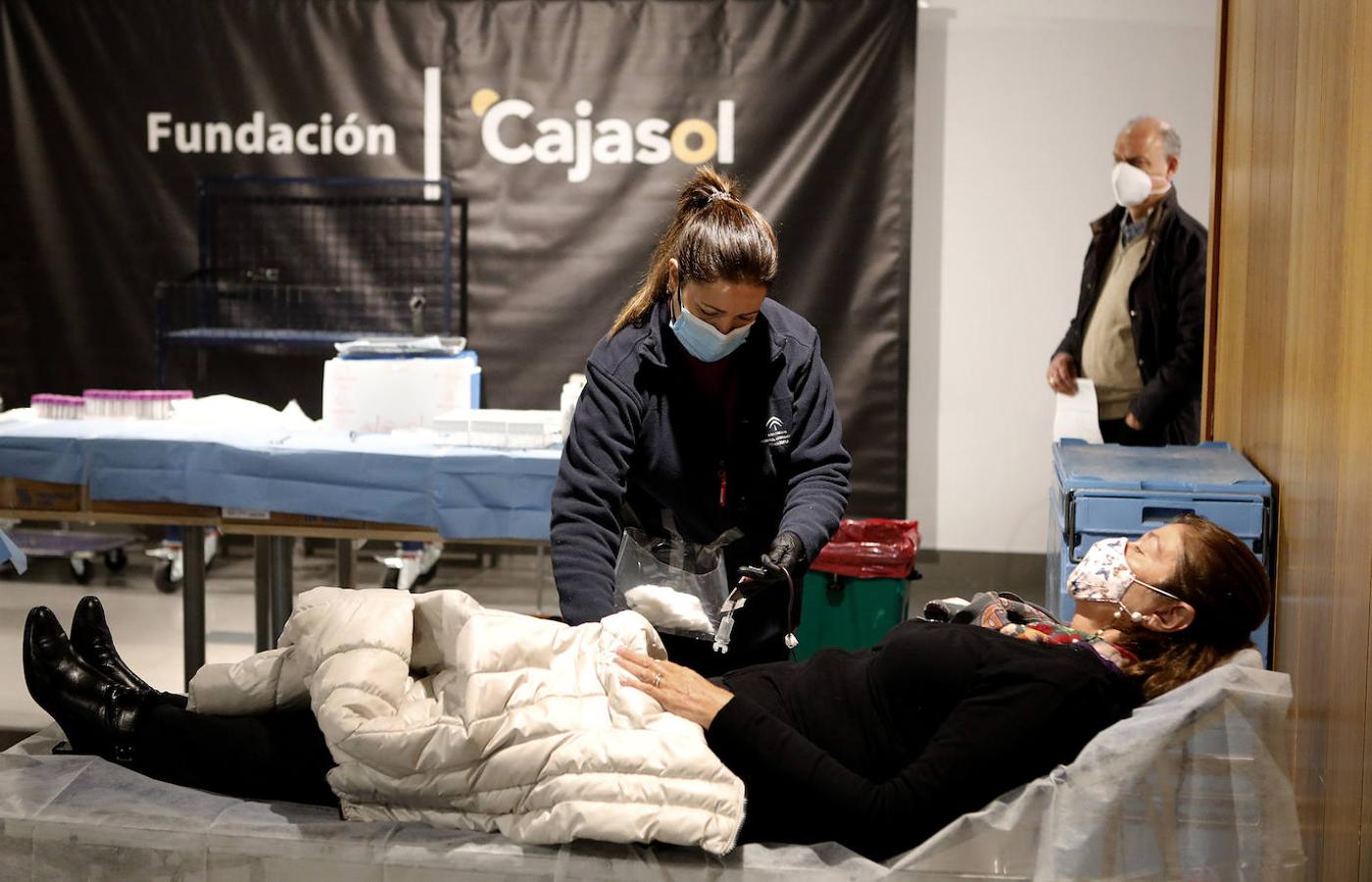 La donación de sangre en la Fundación Cajasol en Córdoba, en imágenes