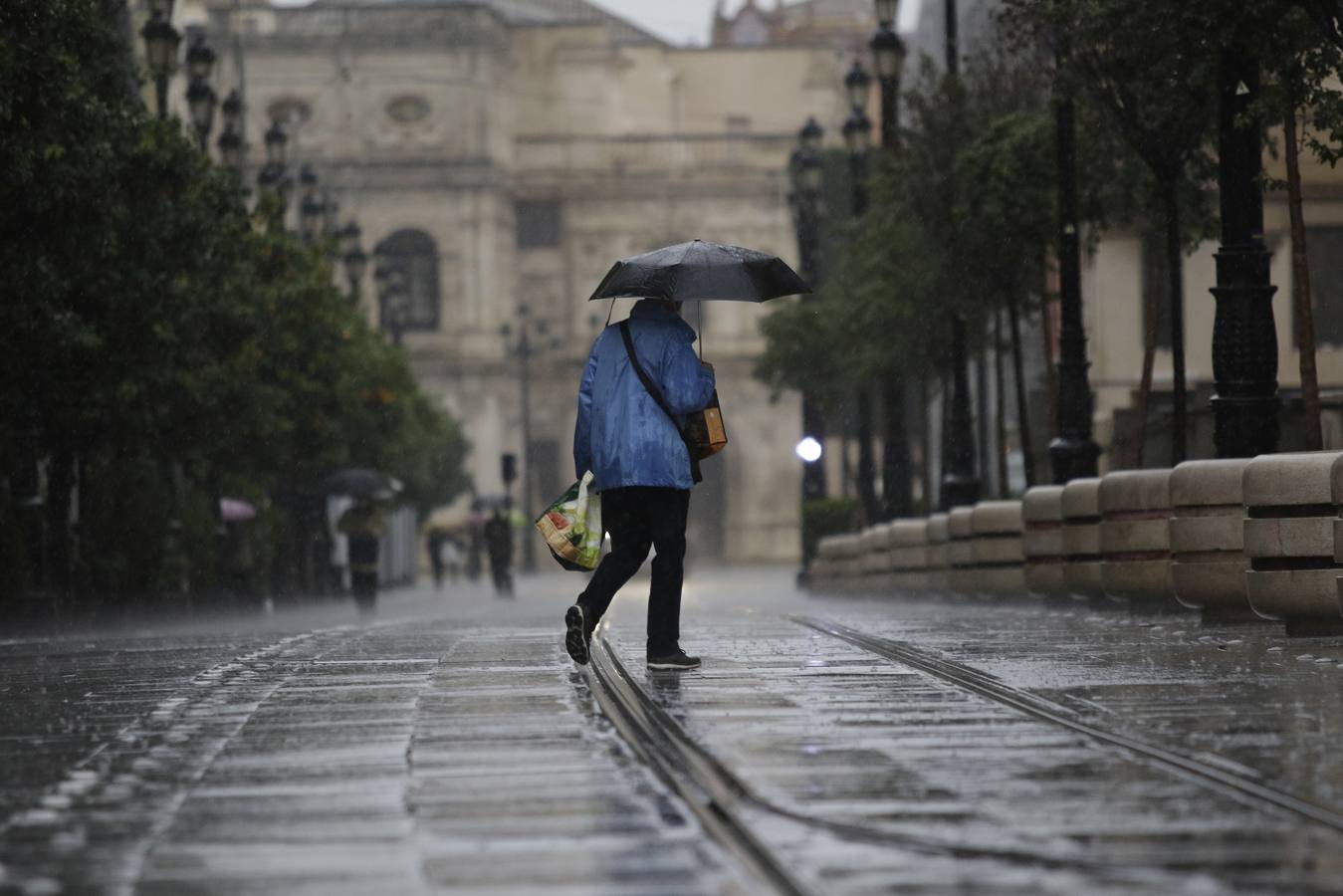 Las imágenes de la lluvia en Sevilla