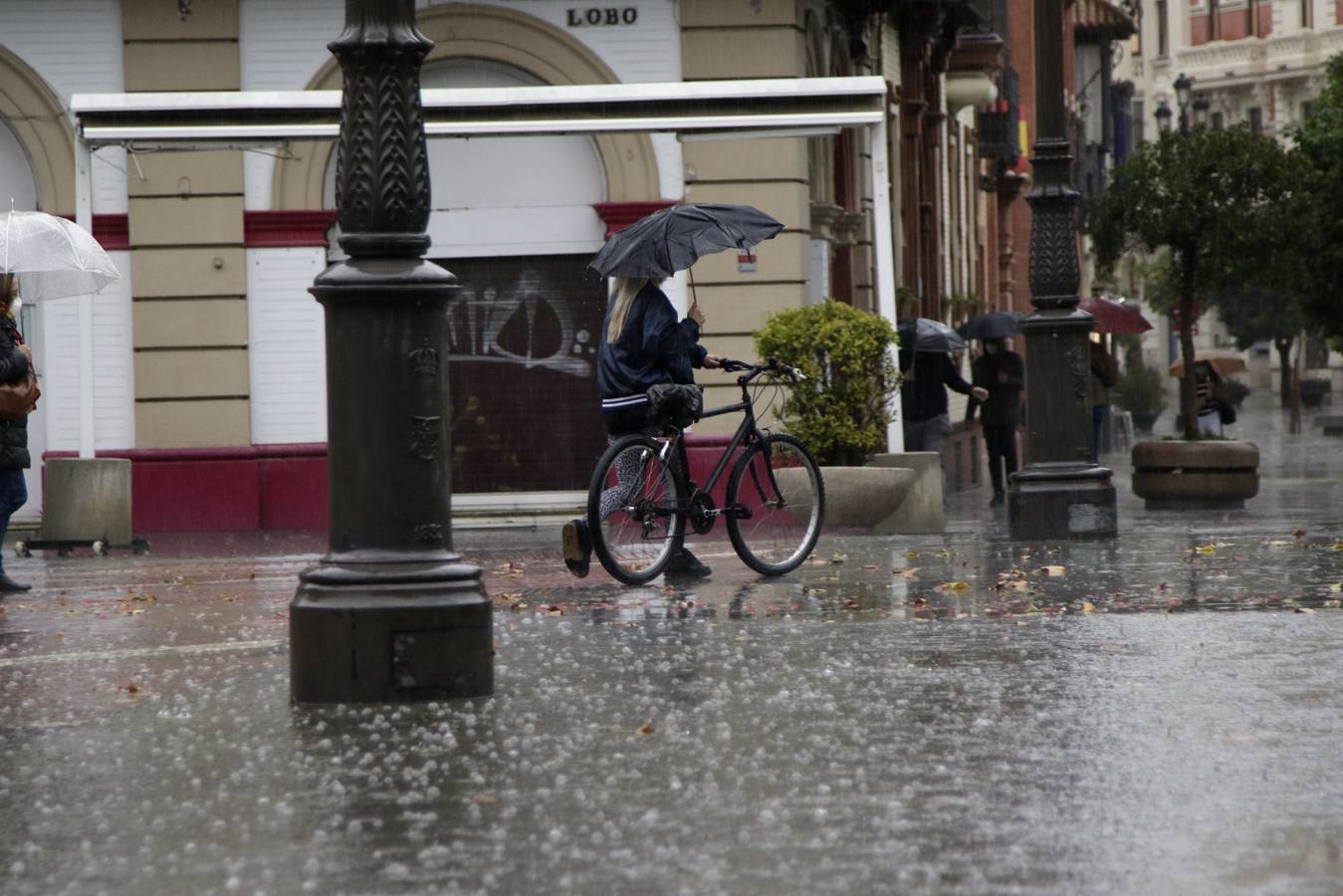 Las imágenes de la lluvia en Sevilla