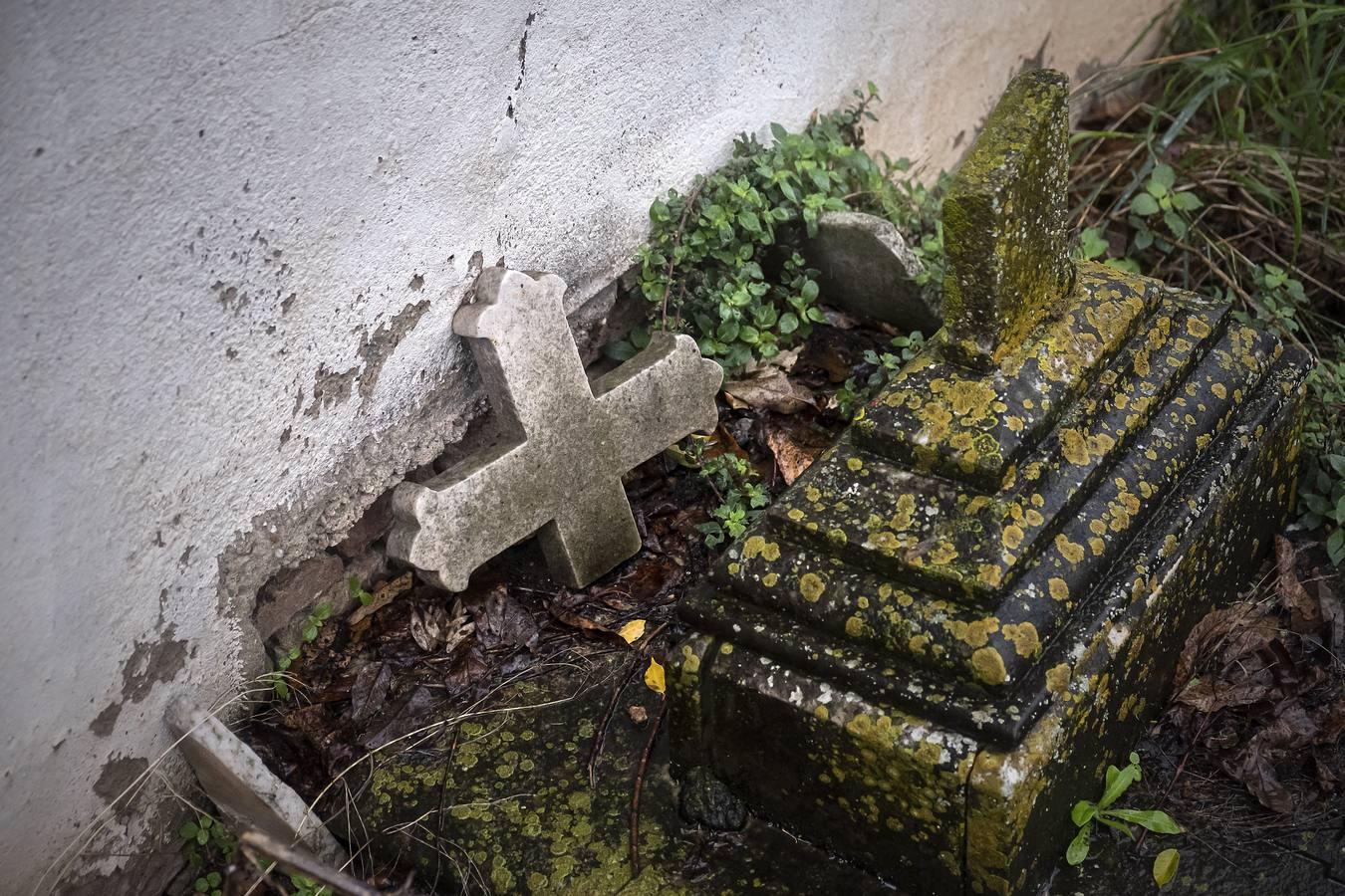 Cementerio de los Ingleses de Sevilla, un tesoro abandonado