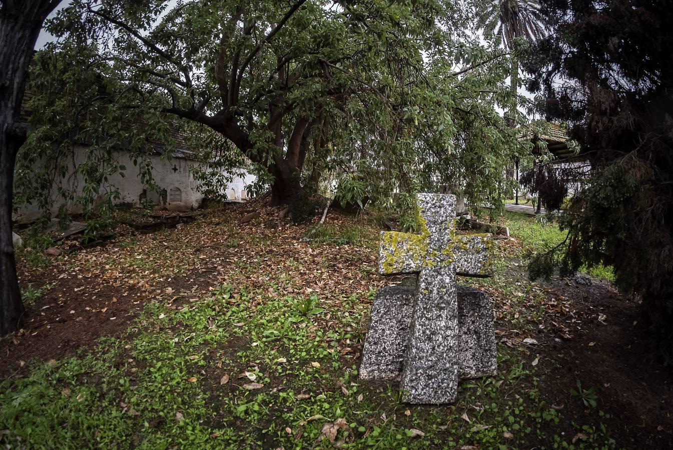 Cementerio de los Ingleses de Sevilla, un tesoro abandonado