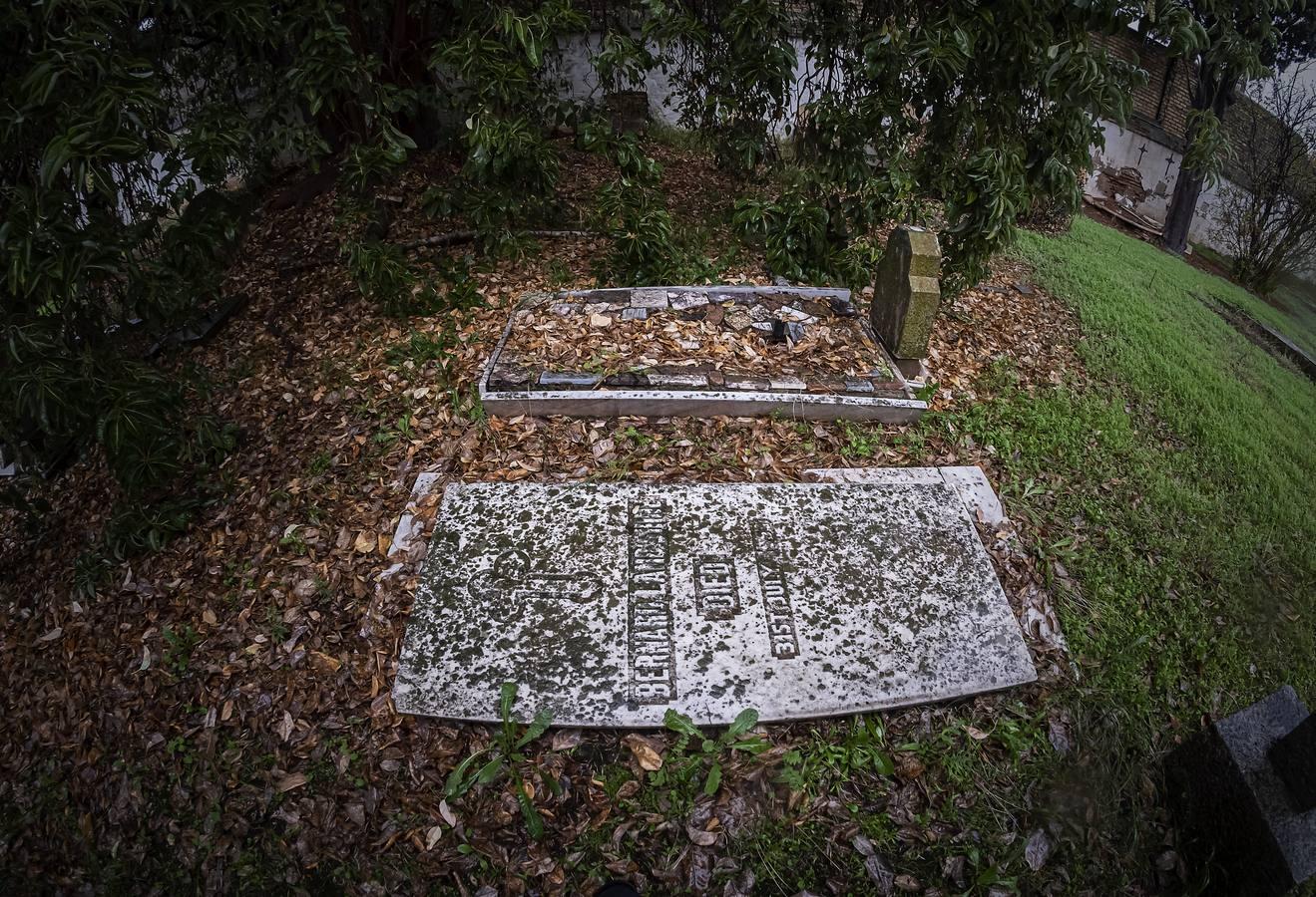 Cementerio de los Ingleses de Sevilla, un tesoro abandonado