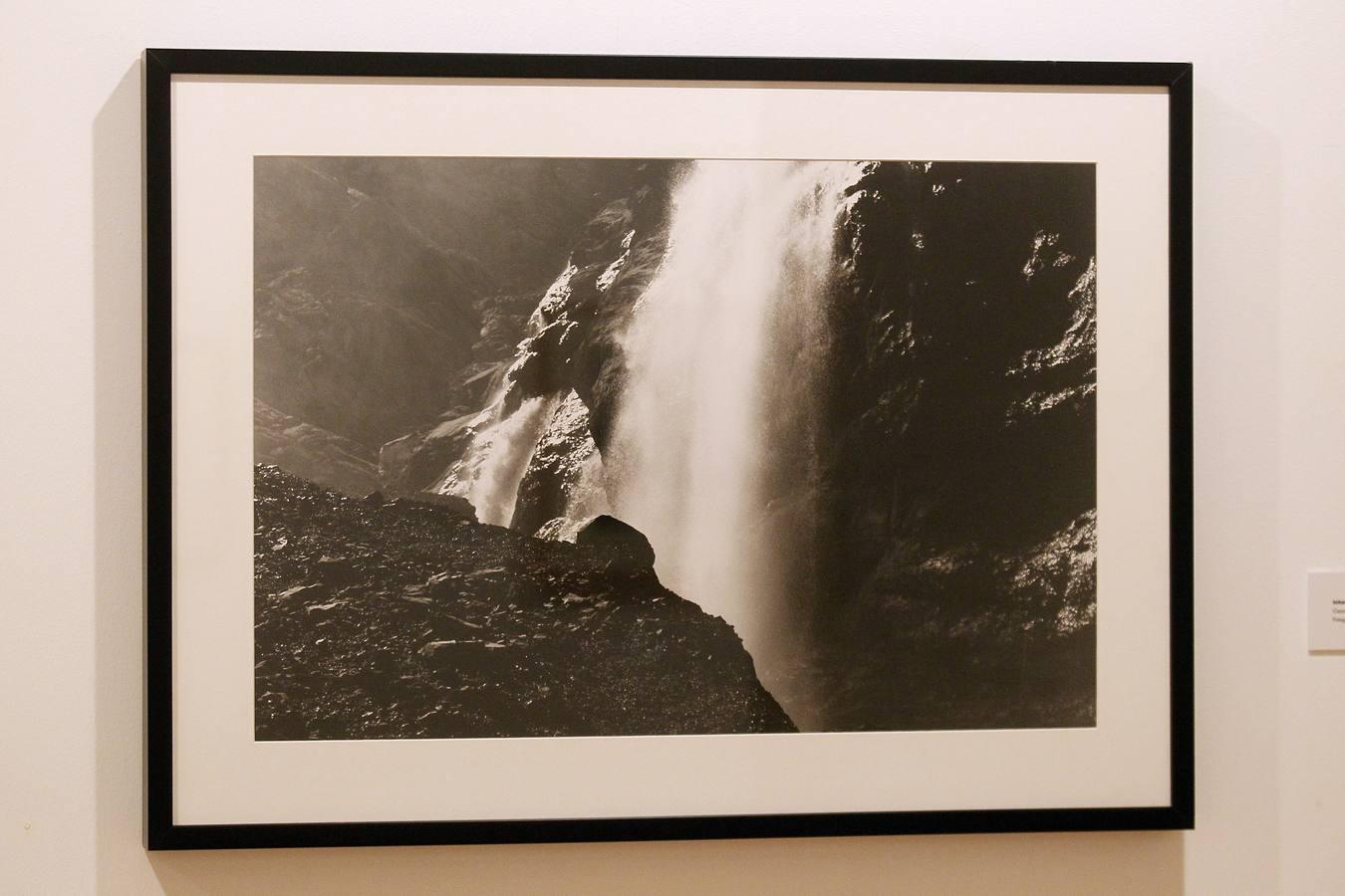 Recorrido por la exposición «Queridos. Colección Jesús Reina» del Cicus